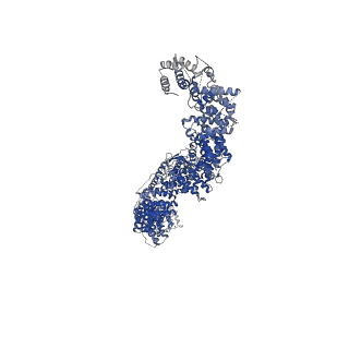 25492_7sx3_E_v1-1
Human NALCN-FAM155A-UNC79-UNC80 channelosome with CaM bound, conformation 1/2