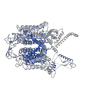 25493_7sx4_A_v1-1
Human NALCN-FAM155A-UNC79-UNC80 channelosome with CaM bound, conformation 2/2