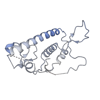 25493_7sx4_B_v1-1
Human NALCN-FAM155A-UNC79-UNC80 channelosome with CaM bound, conformation 2/2