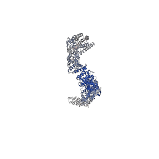25493_7sx4_D_v1-1
Human NALCN-FAM155A-UNC79-UNC80 channelosome with CaM bound, conformation 2/2