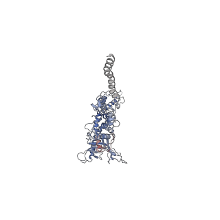 25500_7sxk_a_v1-0
Kinetically trapped Pseudomonas-phage PaP3 portal protein - Full Length