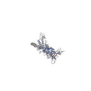 25500_7sxk_c_v1-0
Kinetically trapped Pseudomonas-phage PaP3 portal protein - Full Length