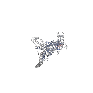 25500_7sxk_e_v1-0
Kinetically trapped Pseudomonas-phage PaP3 portal protein - Full Length