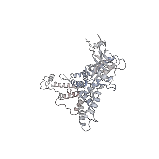 25500_7sxk_f_v1-0
Kinetically trapped Pseudomonas-phage PaP3 portal protein - Full Length