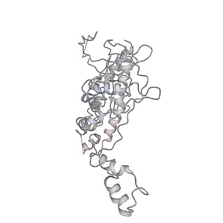 25500_7sxk_g_v1-0
Kinetically trapped Pseudomonas-phage PaP3 portal protein - Full Length