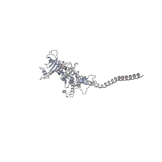 25500_7sxk_i_v1-0
Kinetically trapped Pseudomonas-phage PaP3 portal protein - Full Length