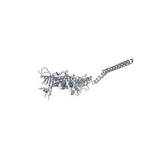 25500_7sxk_j_v1-0
Kinetically trapped Pseudomonas-phage PaP3 portal protein - Full Length