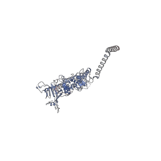 25500_7sxk_k_v1-0
Kinetically trapped Pseudomonas-phage PaP3 portal protein - Full Length