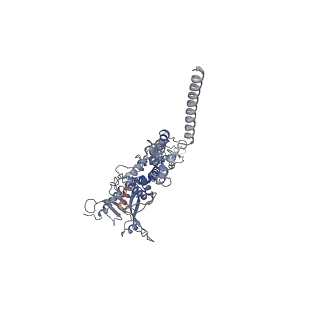 25500_7sxk_l_v1-0
Kinetically trapped Pseudomonas-phage PaP3 portal protein - Full Length