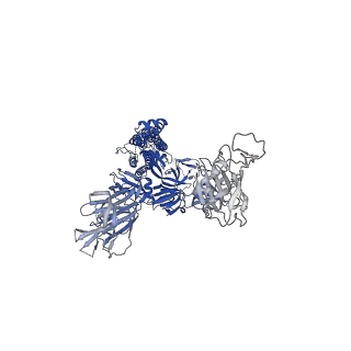25503_7sxr_A_v1-1
Cryo-EM structure of the SARS-CoV-2 D614G mutant spike protein ectodomain