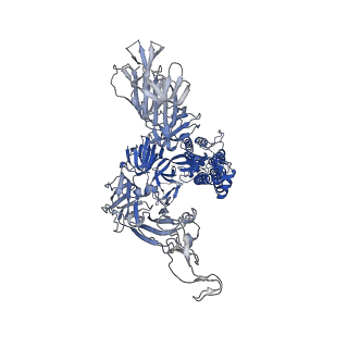 25503_7sxr_C_v1-1
Cryo-EM structure of the SARS-CoV-2 D614G mutant spike protein ectodomain