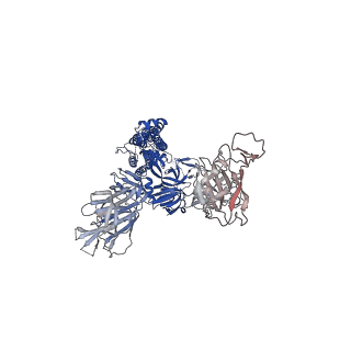 25506_7sxu_A_v1-1
Cryo-EM structure of the SARS-CoV-2 D614G,N501Y,E484K mutant spike protein ectodomain