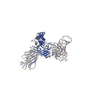 25507_7sxv_A_v1-1
Cryo-EM structure of the SARS-CoV-2 D614G,N501Y,E484K,K417N mutant spike protein ectodomain