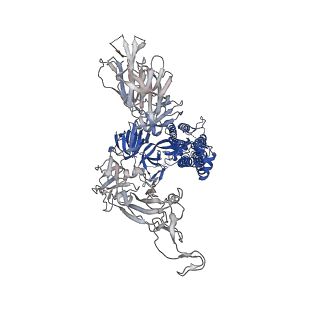25507_7sxv_C_v1-1
Cryo-EM structure of the SARS-CoV-2 D614G,N501Y,E484K,K417N mutant spike protein ectodomain