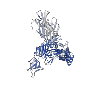 25509_7sxx_A_v1-1
Cryo-EM structure of the SARS-CoV-2 D614G mutant spike protein ectodomain bound to human ACE2 ectodomain (global refinement)