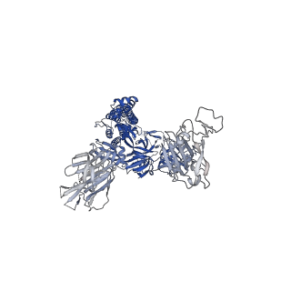 25509_7sxx_B_v1-1
Cryo-EM structure of the SARS-CoV-2 D614G mutant spike protein ectodomain bound to human ACE2 ectodomain (global refinement)