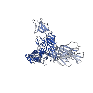 25509_7sxx_C_v1-1
Cryo-EM structure of the SARS-CoV-2 D614G mutant spike protein ectodomain bound to human ACE2 ectodomain (global refinement)
