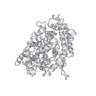 25509_7sxx_E_v1-1
Cryo-EM structure of the SARS-CoV-2 D614G mutant spike protein ectodomain bound to human ACE2 ectodomain (global refinement)