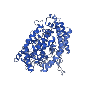 25510_7sxy_E_v1-1
Cryo-EM structure of the SARS-CoV-2 D614G mutant spike protein ectodomain bound to human ACE2 ectodomain (focused refinement of RBD and ACE2)