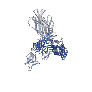 25511_7sxz_A_v1-1
Cryo-EM structure of the SARS-CoV-2 D614G,L452R mutant spike protein ectodomain bound to human ACE2 ectodomain (global refinement)