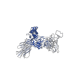 25511_7sxz_B_v1-1
Cryo-EM structure of the SARS-CoV-2 D614G,L452R mutant spike protein ectodomain bound to human ACE2 ectodomain (global refinement)