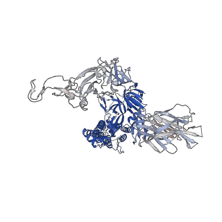 25511_7sxz_C_v1-1
Cryo-EM structure of the SARS-CoV-2 D614G,L452R mutant spike protein ectodomain bound to human ACE2 ectodomain (global refinement)