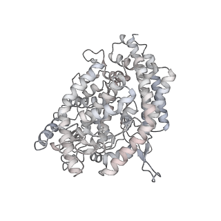 25511_7sxz_E_v1-1
Cryo-EM structure of the SARS-CoV-2 D614G,L452R mutant spike protein ectodomain bound to human ACE2 ectodomain (global refinement)
