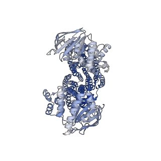 40828_8sx9_A_v1-1
Inward-facing narrow conformation of bovine multidrug resistance protein 4 (MRP4) in MSP lipid nanodisc