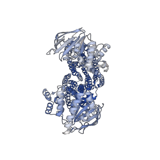 40828_8sx9_A_v1-2
Inward-facing narrow conformation of bovine multidrug resistance protein 4 (MRP4) in MSP lipid nanodisc