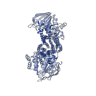 40829_8sxa_A_v1-1
Inward-facing wide conformation of bovine multidrug resistance protein 4 (MRP4) in MSP lipid nanodisc