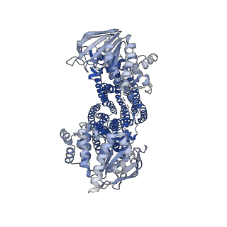 40829_8sxa_A_v1-2
Inward-facing wide conformation of bovine multidrug resistance protein 4 (MRP4) in MSP lipid nanodisc