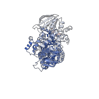 40830_8sxb_A_v1-1
Bovine multidrug resistance protein 4 (MRP4) bound to prostaglandin E2 in MSP lipid nanodisc