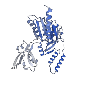 40849_8sxe_A_v1-1
Structure of the C-terminal protease CtpA-LbcA complex of Pseudomonas aeruginosa