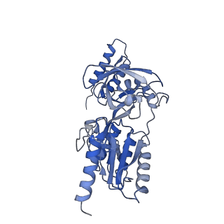 40849_8sxe_B_v1-1
Structure of the C-terminal protease CtpA-LbcA complex of Pseudomonas aeruginosa