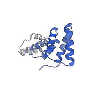 40849_8sxe_C_v1-1
Structure of the C-terminal protease CtpA-LbcA complex of Pseudomonas aeruginosa