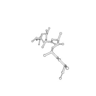 40849_8sxe_D_v1-1
Structure of the C-terminal protease CtpA-LbcA complex of Pseudomonas aeruginosa