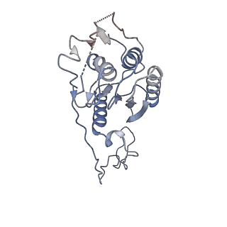 40849_8sxe_E_v1-1
Structure of the C-terminal protease CtpA-LbcA complex of Pseudomonas aeruginosa