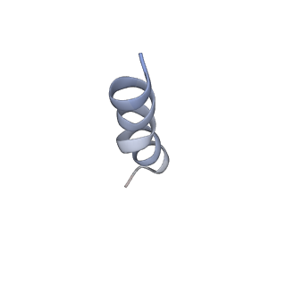 40849_8sxe_F_v1-1
Structure of the C-terminal protease CtpA-LbcA complex of Pseudomonas aeruginosa