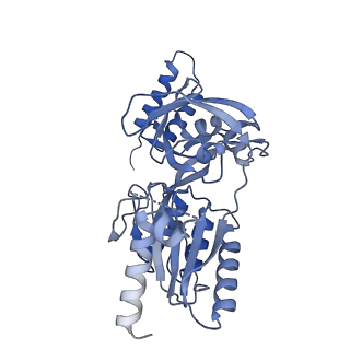 40850_8sxf_B_v1-1
The C-terminal protease CtpA-LbcA complex of pseudomonas aeruginosa with the TPR at the high position