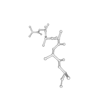 40850_8sxf_D_v1-1
The C-terminal protease CtpA-LbcA complex of pseudomonas aeruginosa with the TPR at the high position