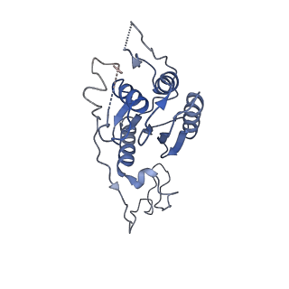 40850_8sxf_E_v1-1
The C-terminal protease CtpA-LbcA complex of pseudomonas aeruginosa with the TPR at the high position