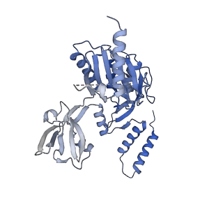 40851_8sxg_A_v1-1
The C-terminal protease CtpA-LbcA complex of pseudomonas aeruginosa with the TPR at the low position