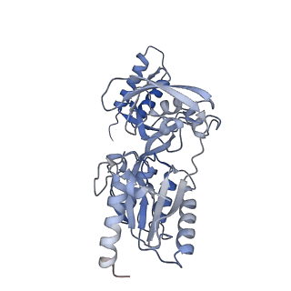 40851_8sxg_B_v1-1
The C-terminal protease CtpA-LbcA complex of pseudomonas aeruginosa with the TPR at the low position