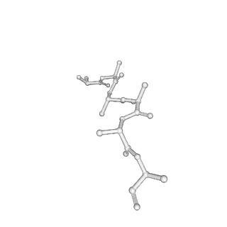 40851_8sxg_D_v1-1
The C-terminal protease CtpA-LbcA complex of pseudomonas aeruginosa with the TPR at the low position