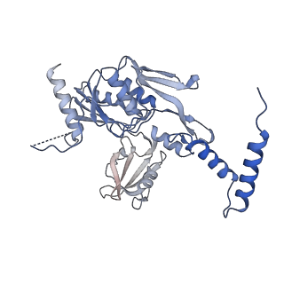 40852_8sxh_A_v1-1
Structure of the C-terminal protease CtpA-LbcA complex of Pseudomonas aeruginosa