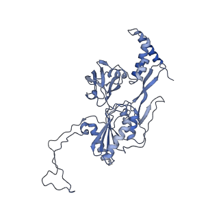 40852_8sxh_B_v1-1
Structure of the C-terminal protease CtpA-LbcA complex of Pseudomonas aeruginosa