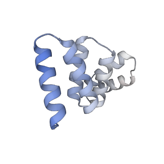 40852_8sxh_C_v1-1
Structure of the C-terminal protease CtpA-LbcA complex of Pseudomonas aeruginosa