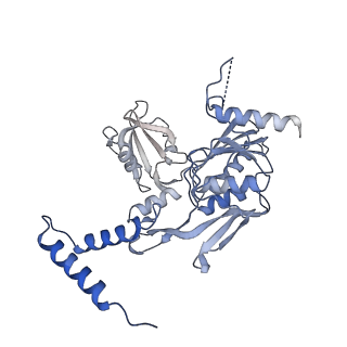 40852_8sxh_E_v1-1
Structure of the C-terminal protease CtpA-LbcA complex of Pseudomonas aeruginosa