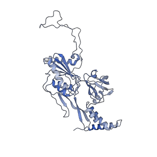 40852_8sxh_F_v1-1
Structure of the C-terminal protease CtpA-LbcA complex of Pseudomonas aeruginosa