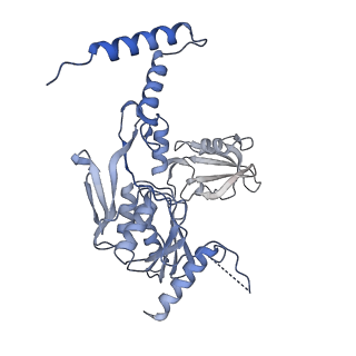 40852_8sxh_I_v1-1
Structure of the C-terminal protease CtpA-LbcA complex of Pseudomonas aeruginosa